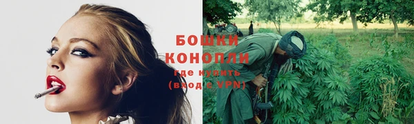 каннабис Аркадак