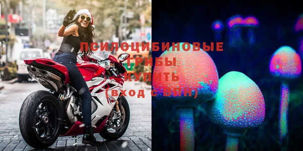 каннабис Аркадак