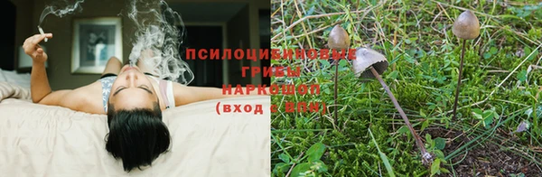 MESCALINE Арсеньев
