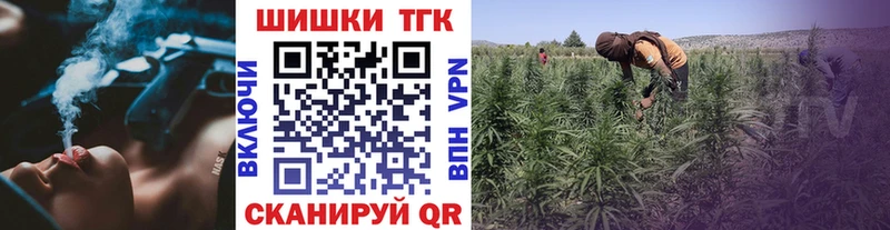 Бошки Шишки планчик  Купить закладки  Сухиничи 